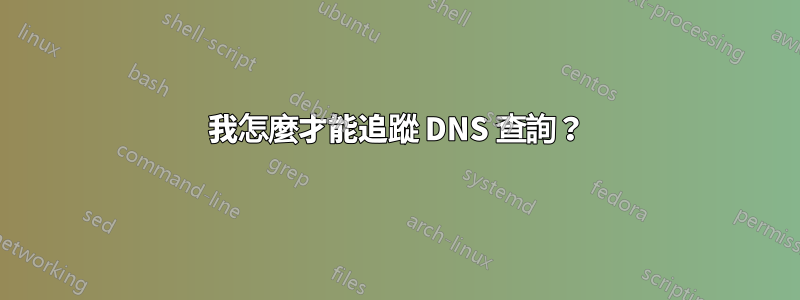 我怎麼才能追蹤 DNS 查詢？