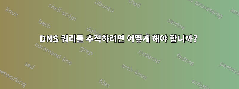 DNS 쿼리를 추적하려면 어떻게 해야 합니까?
