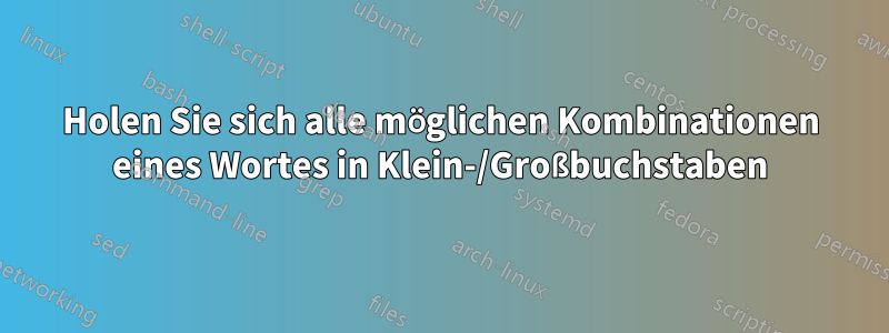 Holen Sie sich alle möglichen Kombinationen eines Wortes in Klein-/Großbuchstaben