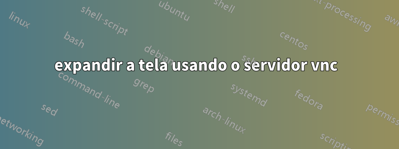 expandir a tela usando o servidor vnc 