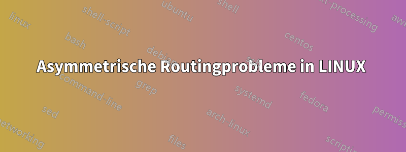Asymmetrische Routingprobleme in LINUX