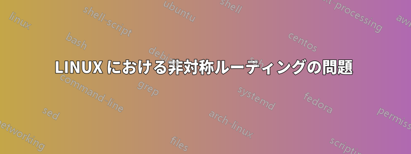 LINUX における非対称ルーティングの問題