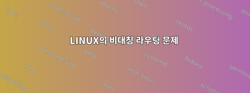 LINUX의 비대칭 라우팅 문제