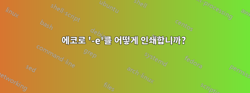 에코로 '-e'를 어떻게 인쇄합니까?
