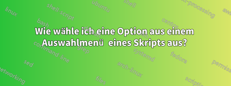 Wie wähle ich eine Option aus einem Auswahlmenü eines Skripts aus?