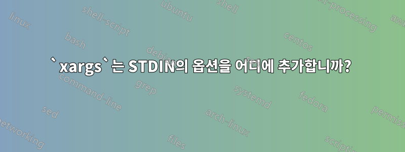 `xargs`는 STDIN의 옵션을 어디에 추가합니까?