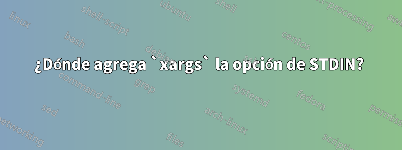 ¿Dónde agrega `xargs` la opción de STDIN?