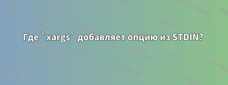 Где `xargs` добавляет опцию из STDIN?