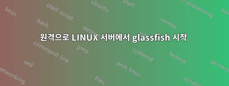 원격으로 LINUX 서버에서 glassfish 시작