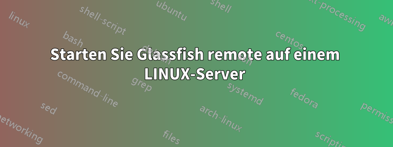 Starten Sie Glassfish remote auf einem LINUX-Server