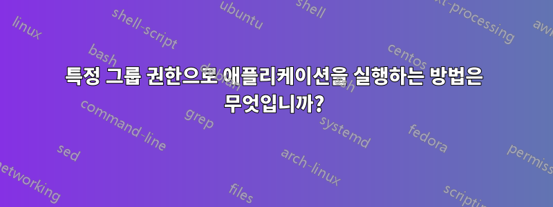 특정 그룹 권한으로 애플리케이션을 실행하는 방법은 무엇입니까?
