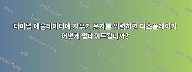 터미널 에뮬레이터에 지우기 문자를 입력하면 디스플레이가 어떻게 업데이트됩니까?