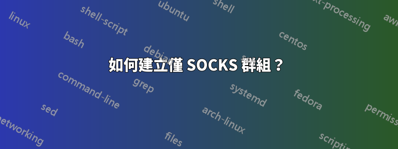 如何建立僅 SOCKS 群組？