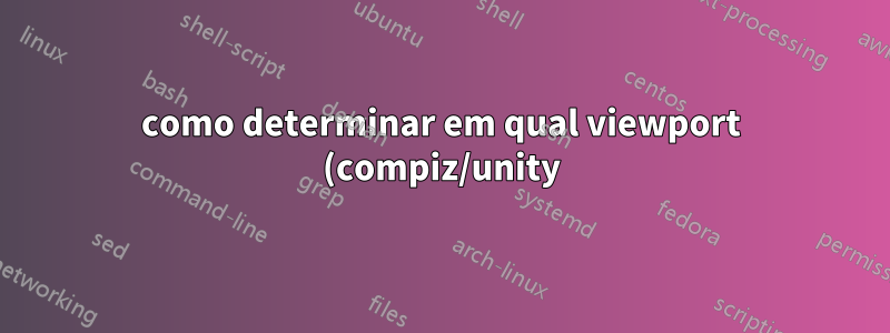 como determinar em qual viewport (compiz/unity) uma janela é colocada?