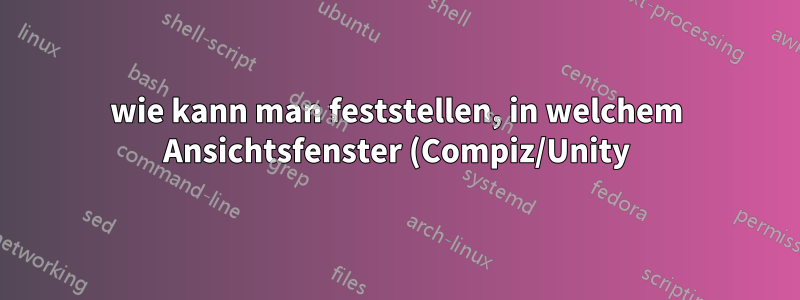 wie kann man feststellen, in welchem Ansichtsfenster (Compiz/Unity) ein Fenster platziert wird?