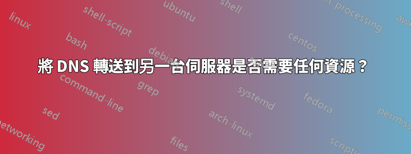 將 DNS 轉送到另一台伺服器是否需要任何資源？