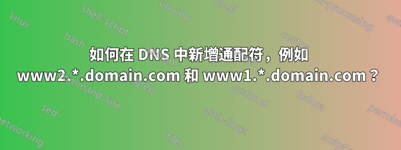 如何在 DNS 中新增通配符，例如 www2.*.domain.com 和 www1.*.domain.com？