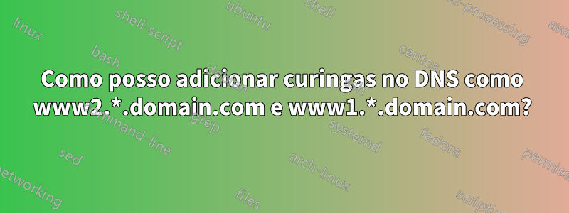 Como posso adicionar curingas no DNS como www2.*.domain.com e www1.*.domain.com?