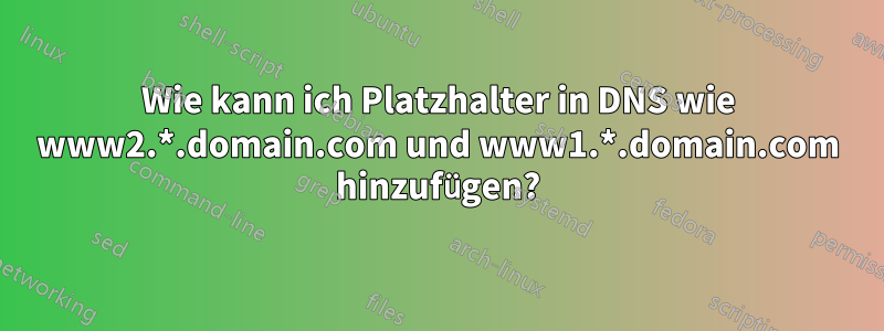 Wie kann ich Platzhalter in DNS wie www2.*.domain.com und www1.*.domain.com hinzufügen?