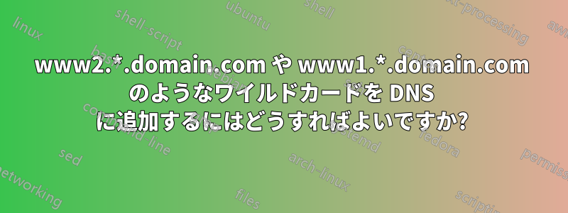 www2.*.domain.com や www1.*.domain.com のようなワイルドカードを DNS に追加するにはどうすればよいですか?