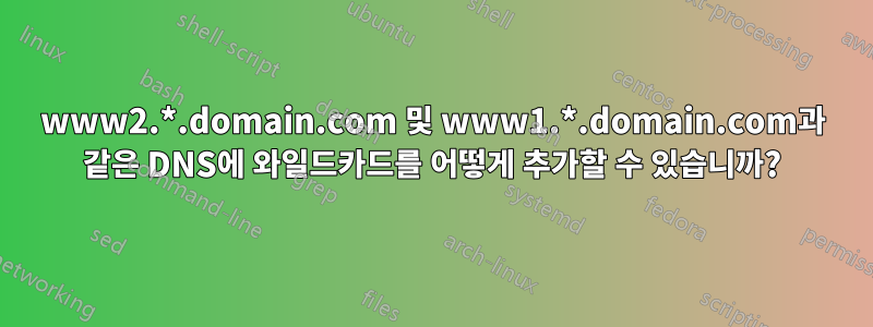 www2.*.domain.com 및 www1.*.domain.com과 같은 DNS에 와일드카드를 어떻게 추가할 수 있습니까?