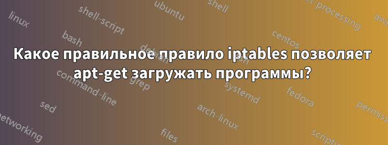 Какое правильное правило iptables позволяет apt-get загружать программы?