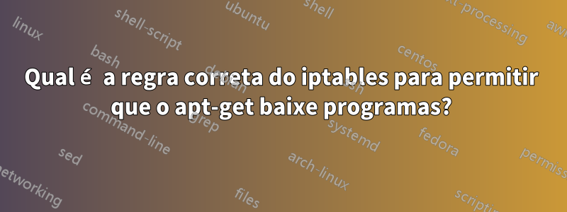 Qual é a regra correta do iptables para permitir que o apt-get baixe programas?