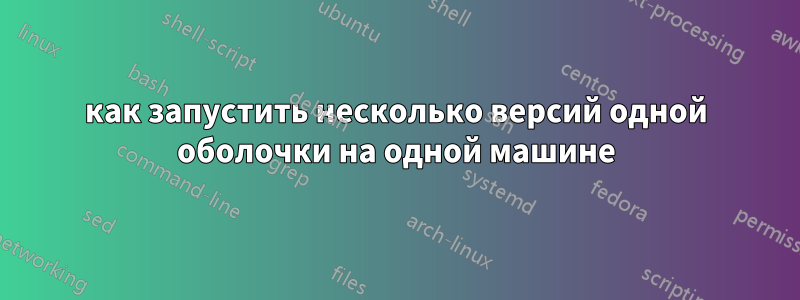 как запустить несколько версий одной оболочки на одной машине