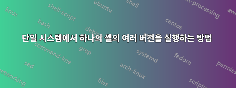 단일 시스템에서 하나의 셸의 여러 버전을 실행하는 방법