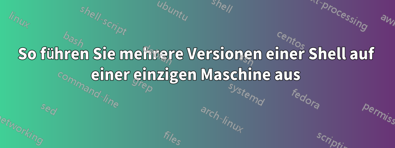 So führen Sie mehrere Versionen einer Shell auf einer einzigen Maschine aus