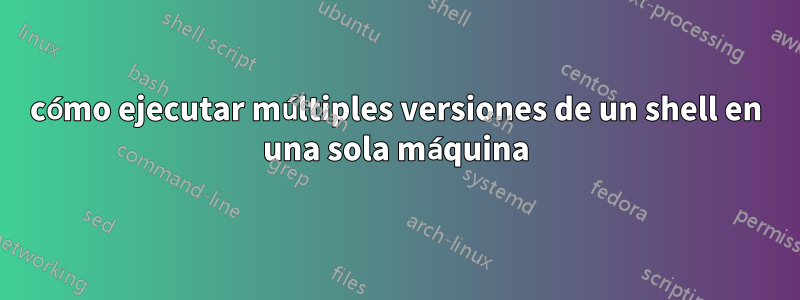cómo ejecutar múltiples versiones de un shell en una sola máquina