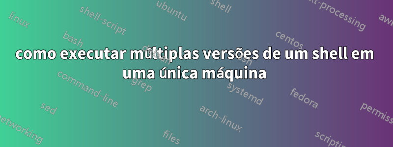 como executar múltiplas versões de um shell em uma única máquina