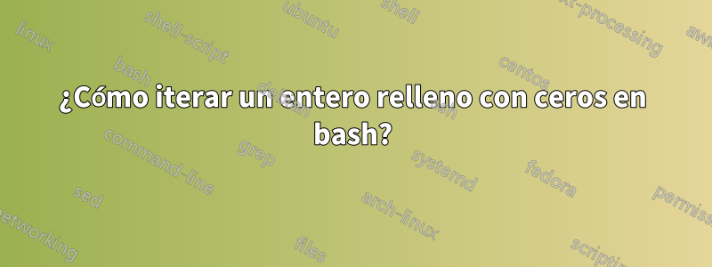 ¿Cómo iterar un entero relleno con ceros en bash?