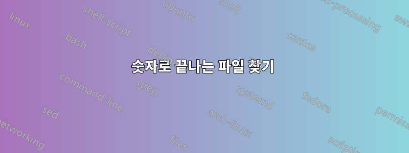 숫자로 끝나는 파일 찾기