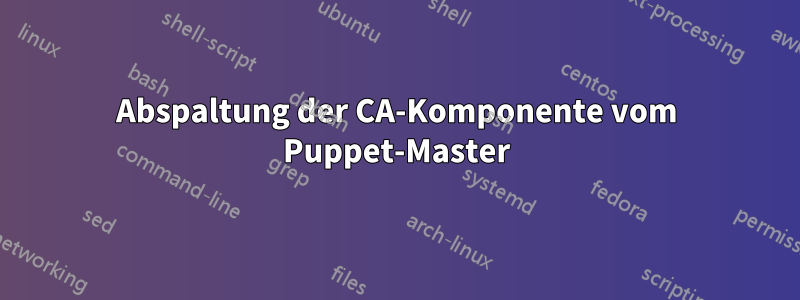 Abspaltung der CA-Komponente vom Puppet-Master