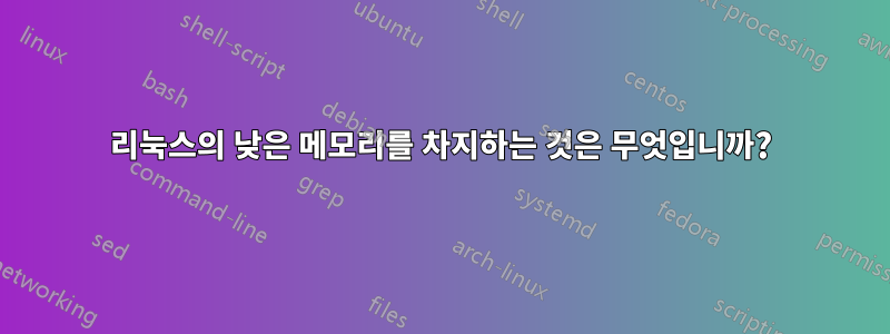 리눅스의 낮은 메모리를 차지하는 것은 무엇입니까?