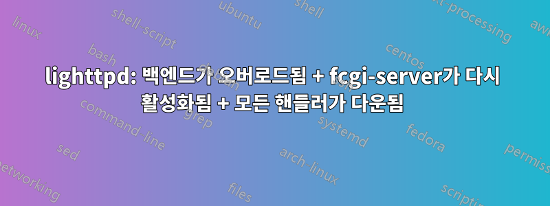 lighttpd: 백엔드가 오버로드됨 + fcgi-server가 다시 활성화됨 + 모든 핸들러가 다운됨