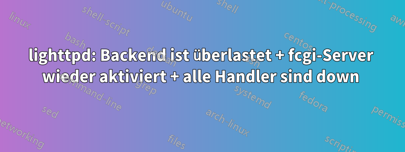 lighttpd: Backend ist überlastet + fcgi-Server wieder aktiviert + alle Handler sind down