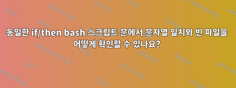 동일한 if/then bash 스크립트 문에서 문자열 일치와 빈 파일을 어떻게 확인할 수 있나요?