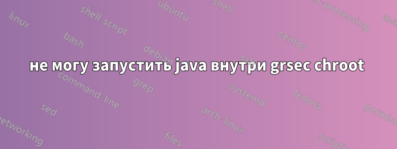 не могу запустить java внутри grsec chroot
