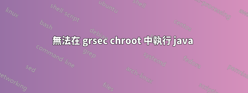 無法在 grsec chroot 中執行 java