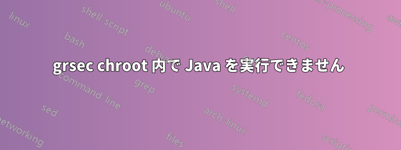 grsec chroot 内で Java を実行できません