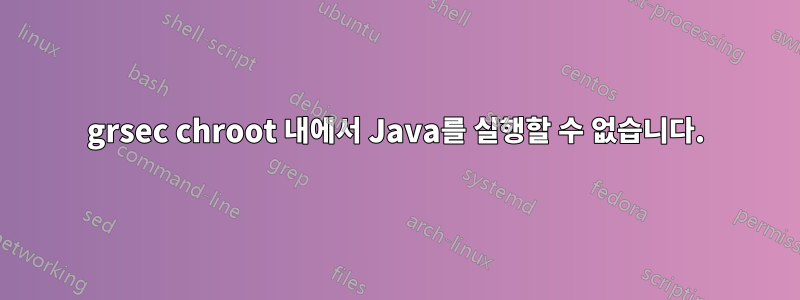 grsec chroot 내에서 Java를 실행할 수 없습니다.