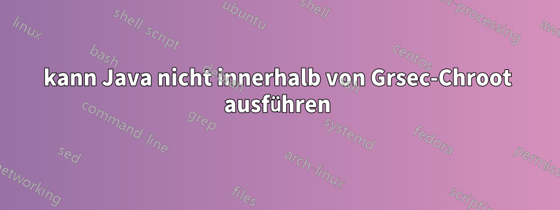 kann Java nicht innerhalb von Grsec-Chroot ausführen