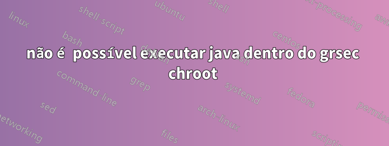 não é possível executar java dentro do grsec chroot