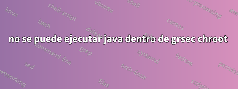 no se puede ejecutar java dentro de grsec chroot