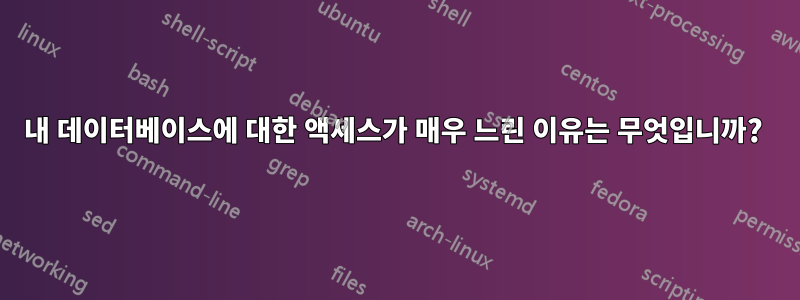 내 데이터베이스에 대한 액세스가 매우 느린 이유는 무엇입니까? 