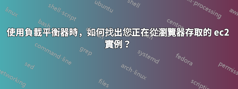 使用負載平衡器時，如何找出您正在從瀏覽器存取的 ec2 實例？