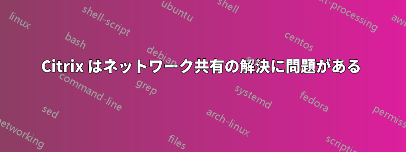 Citrix はネットワーク共有の解決に問題がある