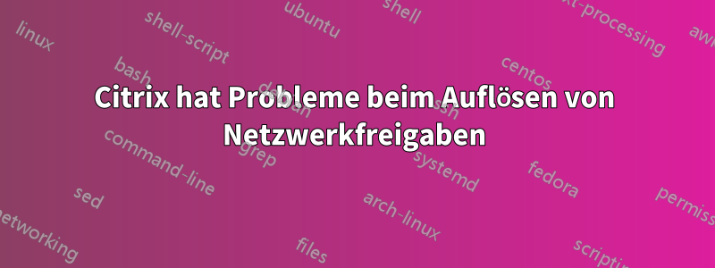 Citrix hat Probleme beim Auflösen von Netzwerkfreigaben